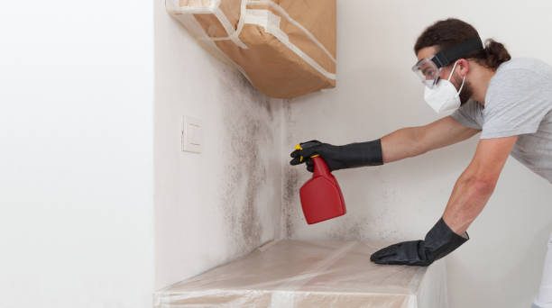 Professional Attic Mold Remediation technician working in Barco, NC